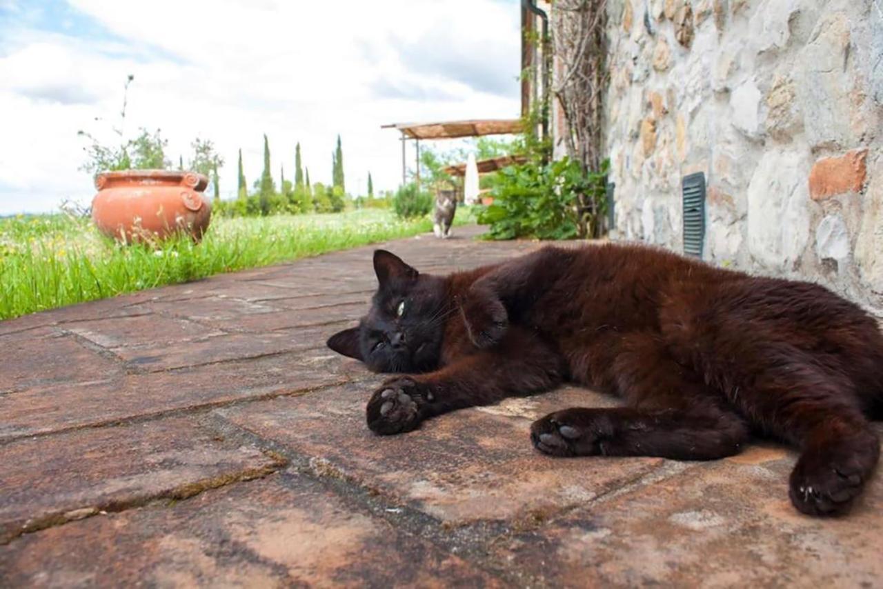 Agriturismo Fattoria Di Statiano Pomarance Buitenkant foto