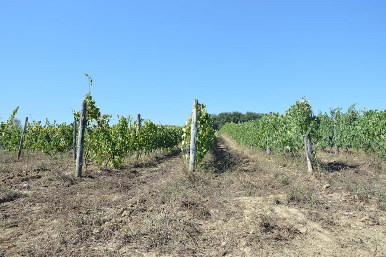 Agriturismo Fattoria Di Statiano Pomarance Buitenkant foto